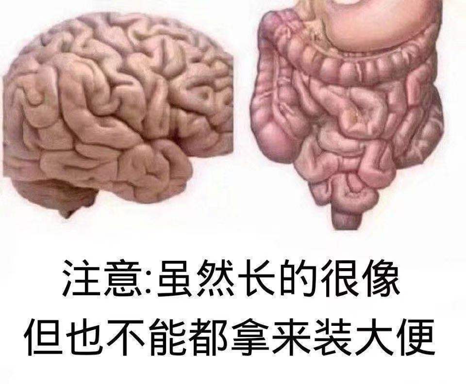 请善待你的肠子 肠道细菌不仅影响脑子还影响药效 第2张-心情说说 请善待你的肠子 肠道细菌不仅影响脑子还影响药效 第2张