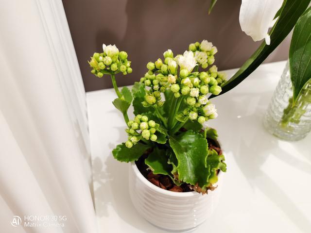 3000档5G摄影手机盘点:潜望式超长焦镜头成标配 好照片随手拍