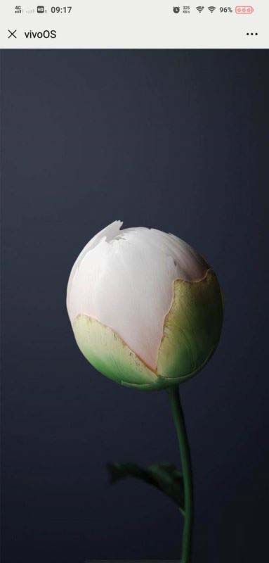 originos和emui11哪个好用 originos和emui11使用对比 第7张-心情说说