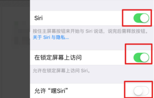 siri怎么打开（苹果iPhone手机怎么打开siri功能）-8