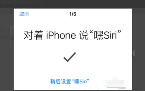 siri怎么打开（苹果iPhone手机怎么打开siri功能）-10