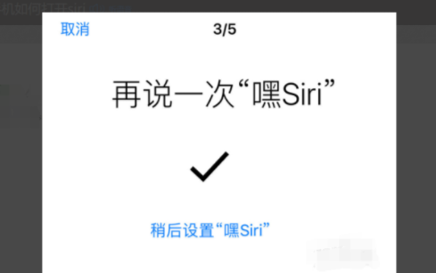 siri怎么打开（苹果iPhone手机怎么打开siri功能）-11