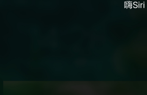 siri怎么打开（苹果iPhone手机怎么打开siri功能）-13