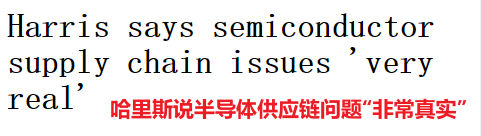 美国副总统跑到东南亚求救 竟然是因为缺芯？ 第2张