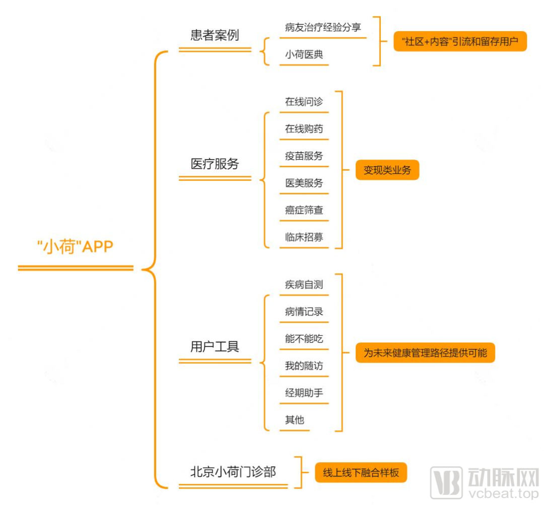 （信息参考自“小荷”APP 动脉网制图）