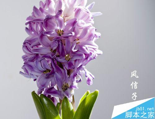 在台式电脑上如何用键盘截图?电脑键盘截图方法介绍 第1张