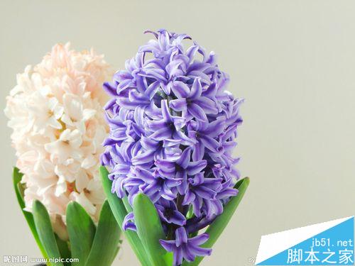 在台式电脑上如何用键盘截图?电脑键盘截图方法介绍 第8张