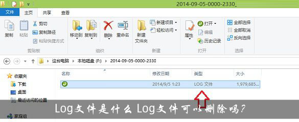Log是什么文件格式？Log文件可以删除吗？ 第1张