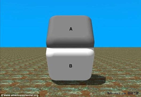 看了这几张图的人 据说99％的人都疯了 第4张