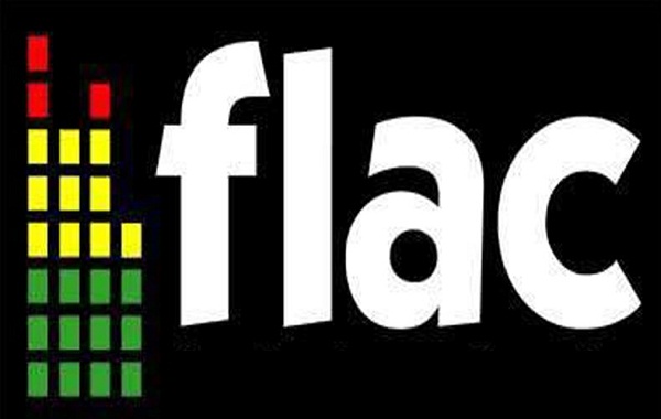 在哪里可以下载无损音乐？无损音乐免费下载方法图解 第1张