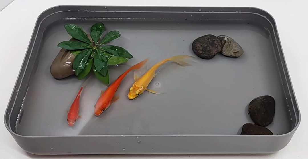 我在大厂 给30万人设计月饼 第5张