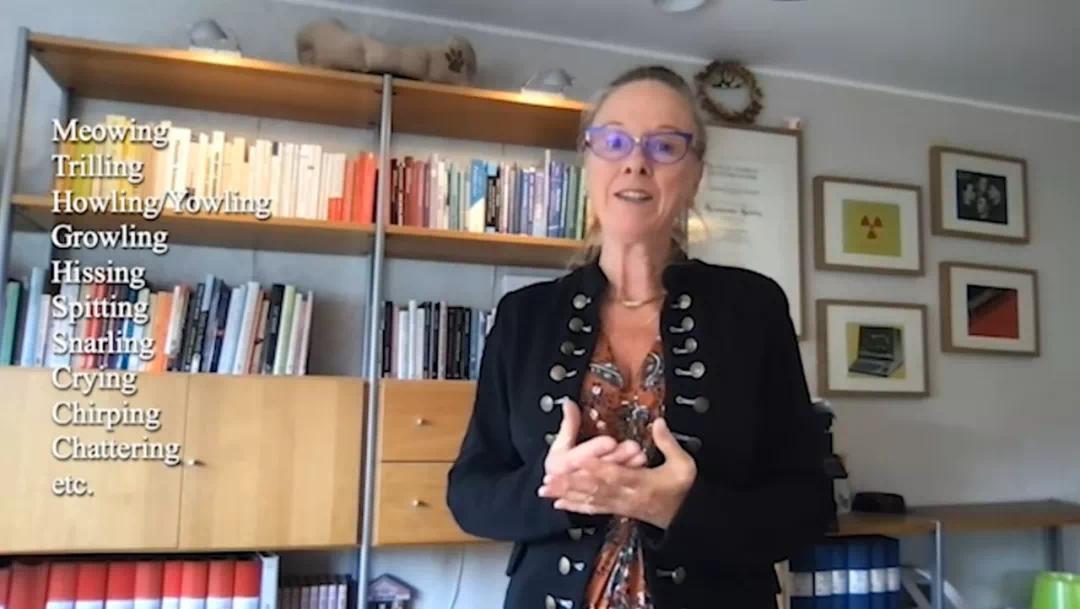 办了31次的搞笑诺贝尔奖 开始在潜水艇里杀蟑螂了 第8张