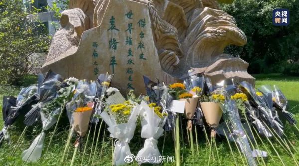 农民丰收节袁隆平雕像前满是鲜花-2
