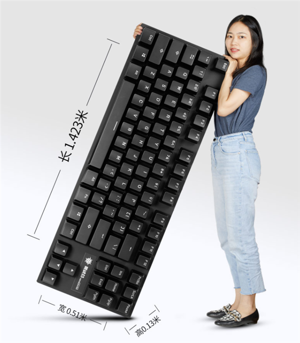 女生晒售价10万的超大号键盘 网友：这是给巨人用的吗？