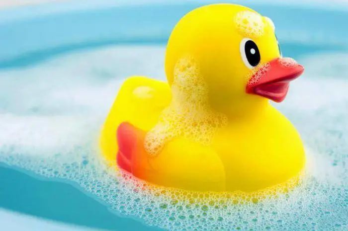 陪你洗澡的小黄鸭 已经成了中国的皮卡丘