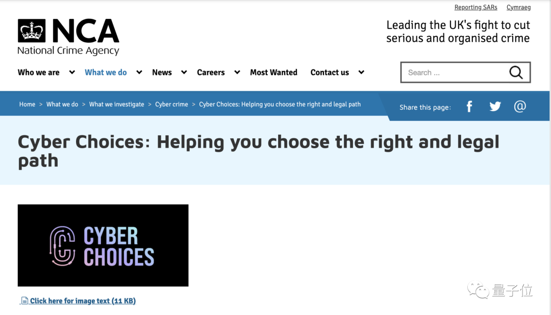 英国熊孩子频繁攻击学校网络：政府引导学生去当白帽黑客 年薪约46万元 第4张