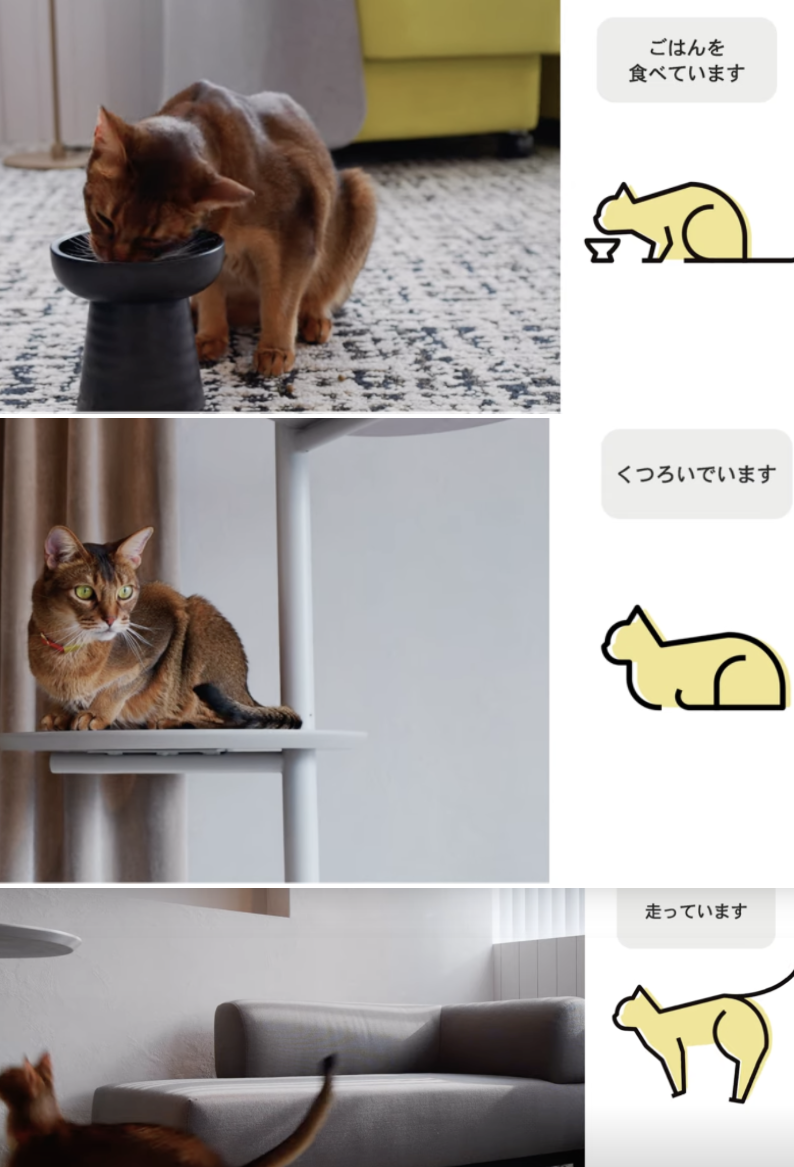 小猫咪小狗狗也有智能“手表”了 可监测健康、识别情绪 第5张