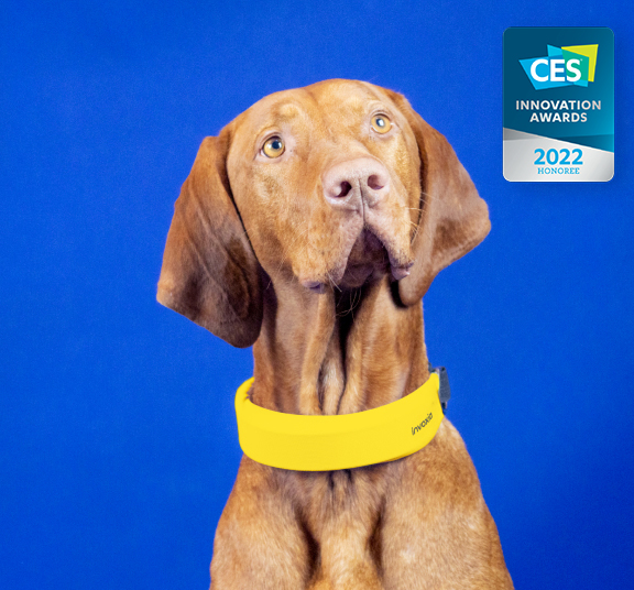 小猫咪小狗狗也有智能“手表”了 可监测健康、识别情绪 第8张