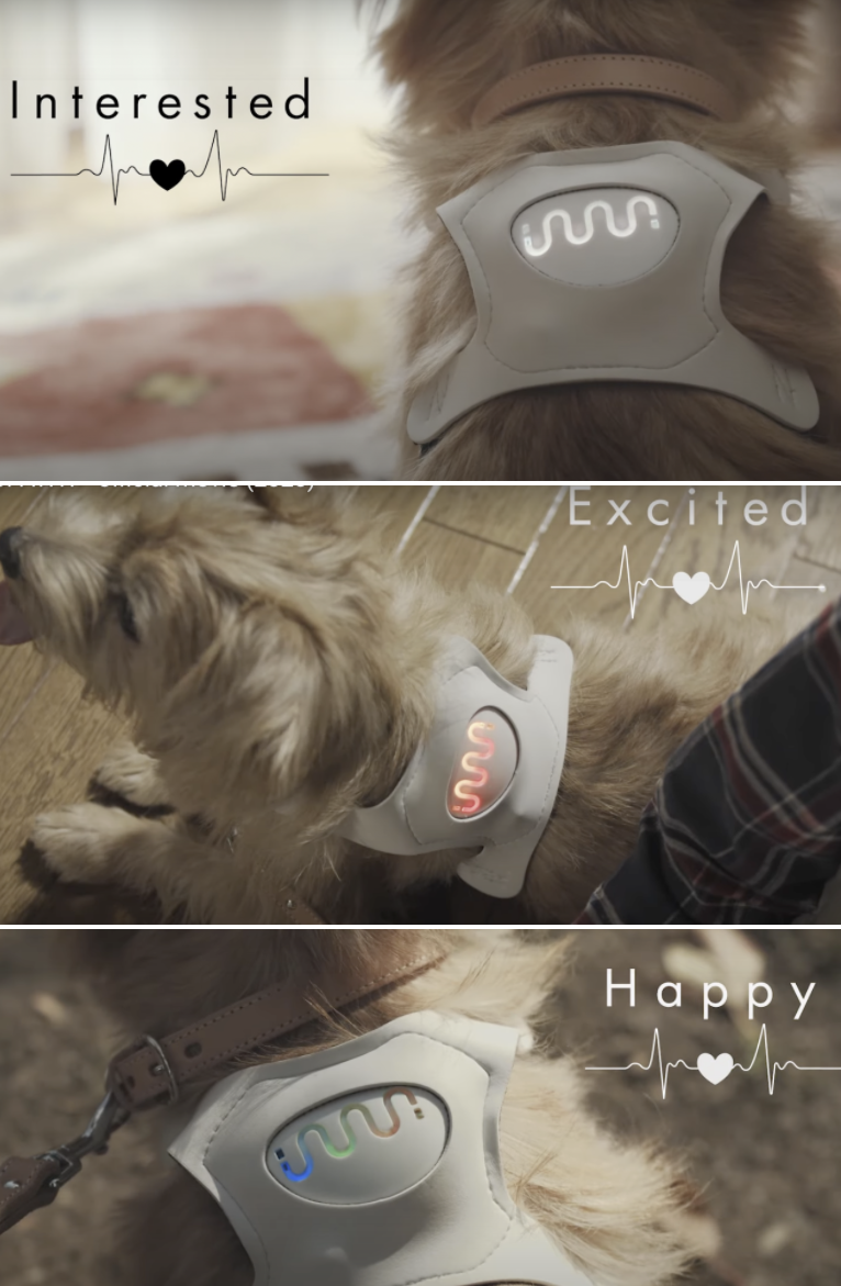 小猫咪小狗狗也有智能“手表”了 可监测健康、识别情绪 第9张