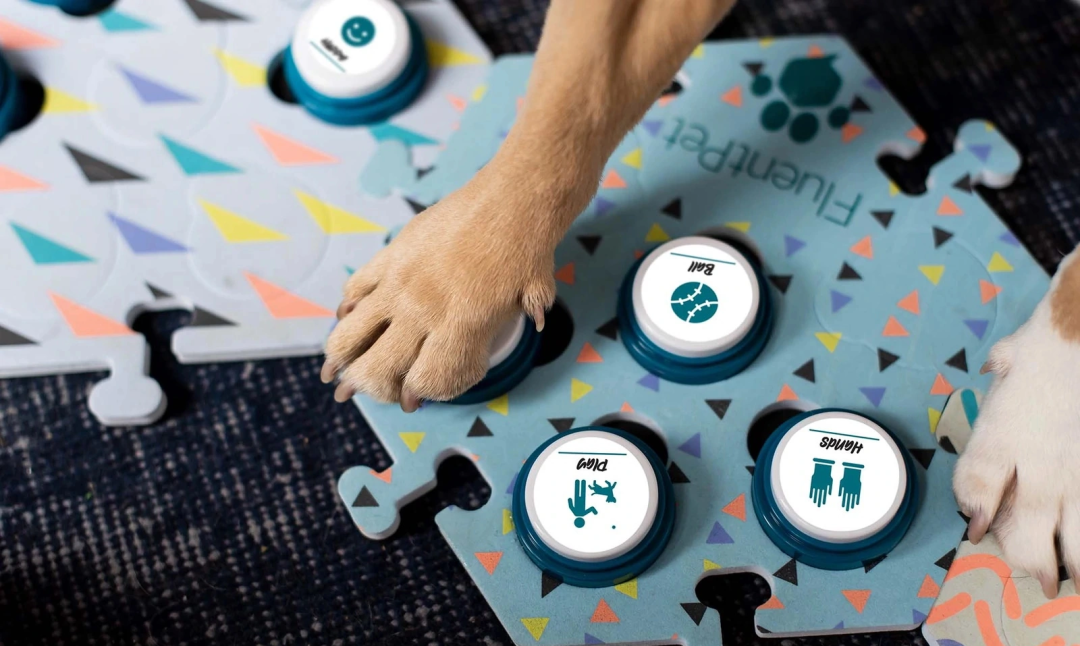 小猫咪小狗狗也有智能“手表”了 可监测健康、识别情绪 第14张