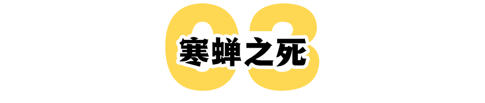 宋智雅的30天：一个网红的疾速坠落