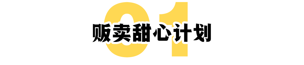 宋智雅的30天：一个网红的疾速坠落